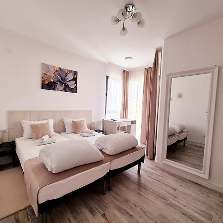 Apartment Pirotski Amanet *
